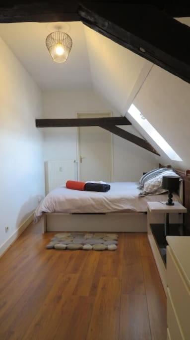 Loft De 53 M2 Centre Ville Blois,Tv Esterno foto